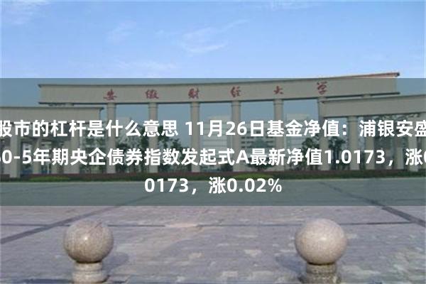 股市的杠杆是什么意思 11月26日基金净值：浦银安盛CFETS0-5年期央企债券指数发起式A最新净值1.0173，涨0.02%