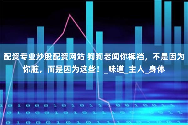 配资专业炒股配资网站 狗狗老闻你裤裆，不是因为你脏，而是因为这些！_味道_主人_身体
