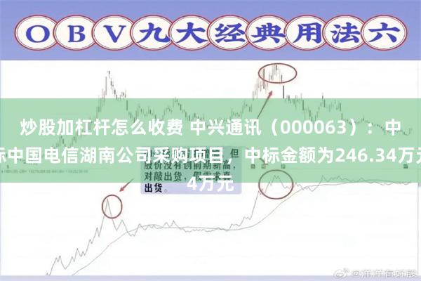 炒股加杠杆怎么收费 中兴通讯（000063）：中标中国电信湖南公司采购项目，中标金额为246.34万元