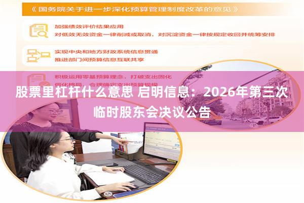 股票里杠杆什么意思 启明信息：2026年第三次临时股东会决议公告